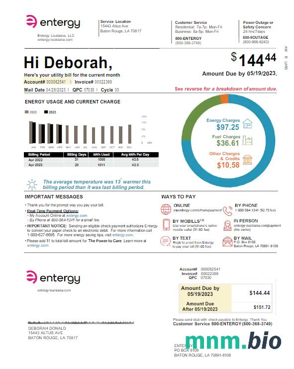 USA ENTERGY rachunek za media Word i szablon PDF